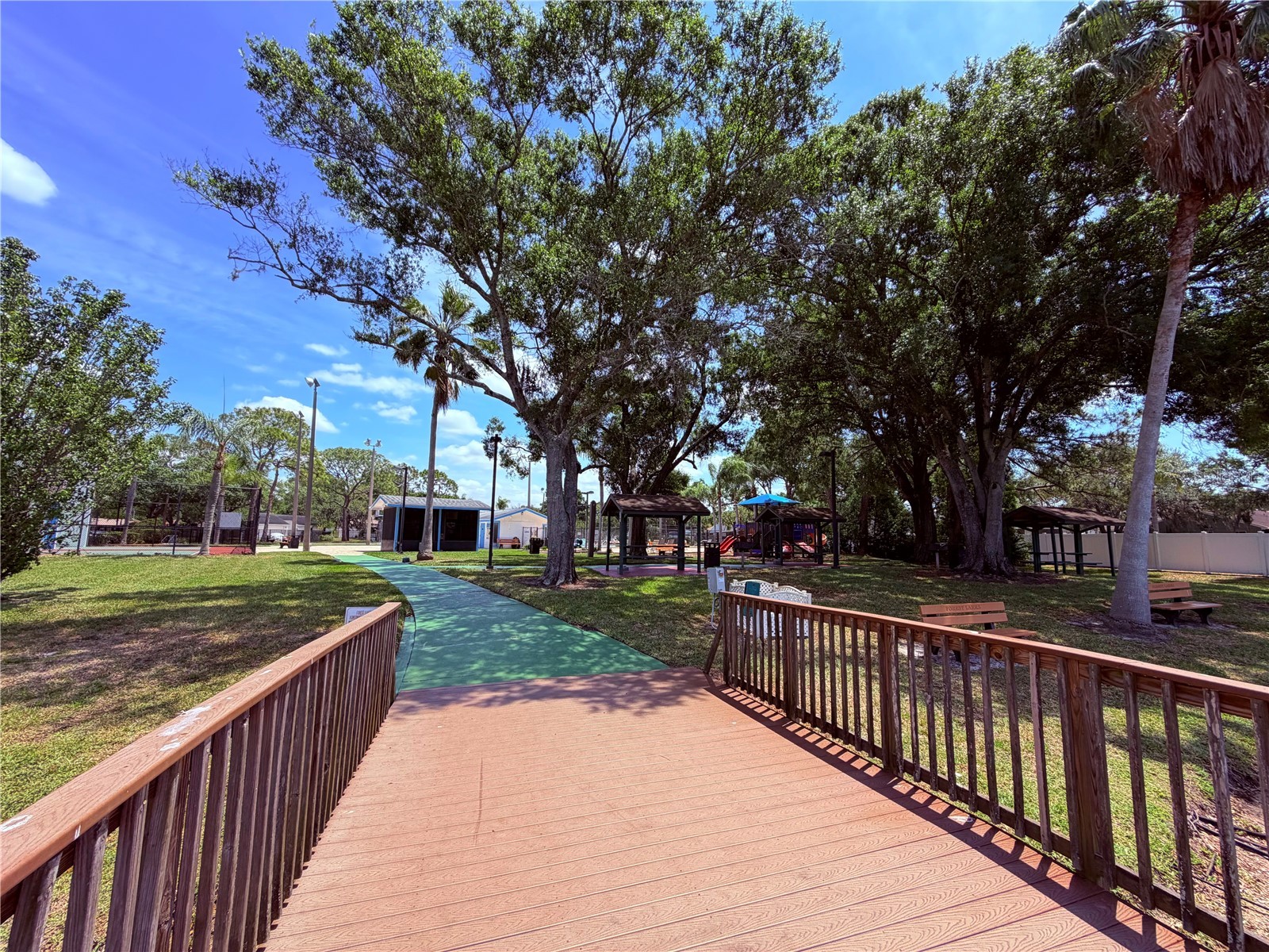 129 Camphor Circle #F Oldsmar FL 34677 TB8500263 image38