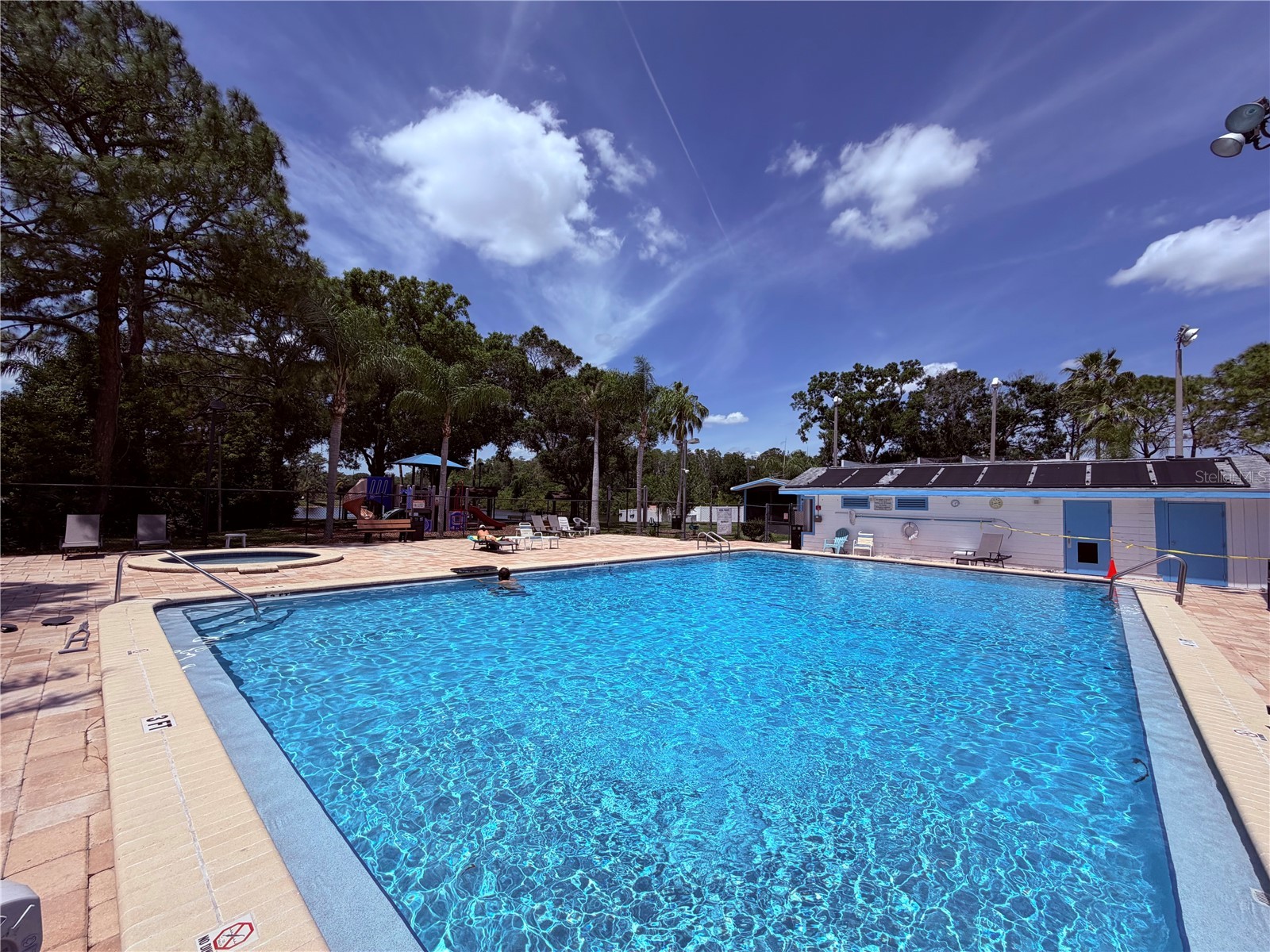 129 Camphor Circle #F Oldsmar FL 34677 TB8500263 image39
