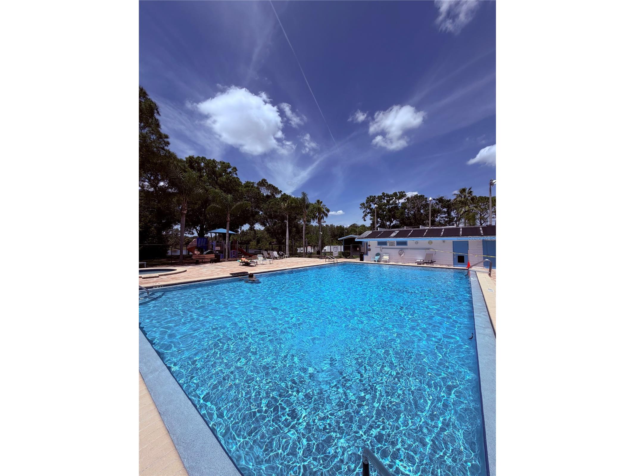 129 Camphor Circle #F Oldsmar FL 34677 TB8500263 image40