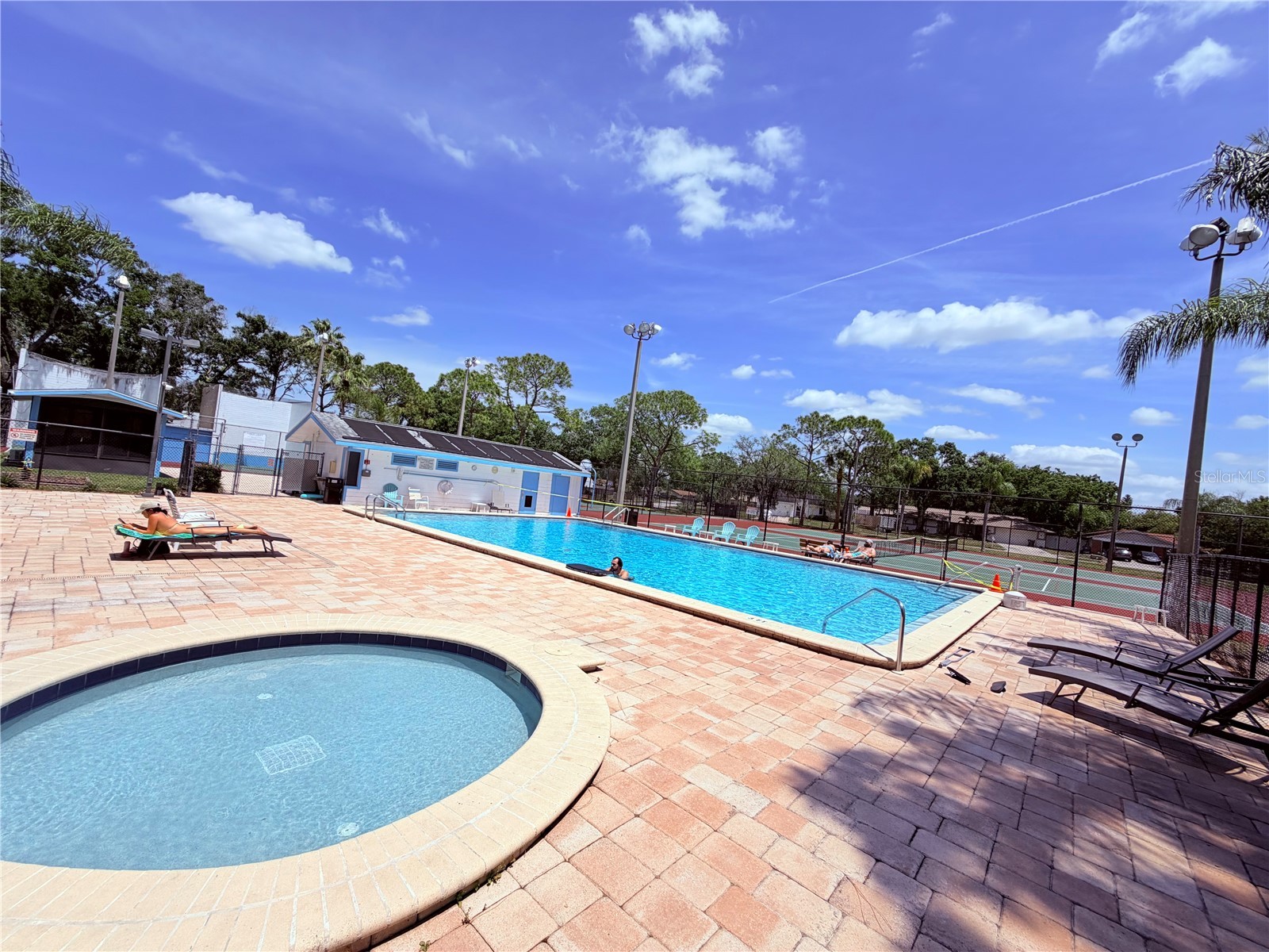 129 Camphor Circle #F Oldsmar FL 34677 TB8500263 image41
