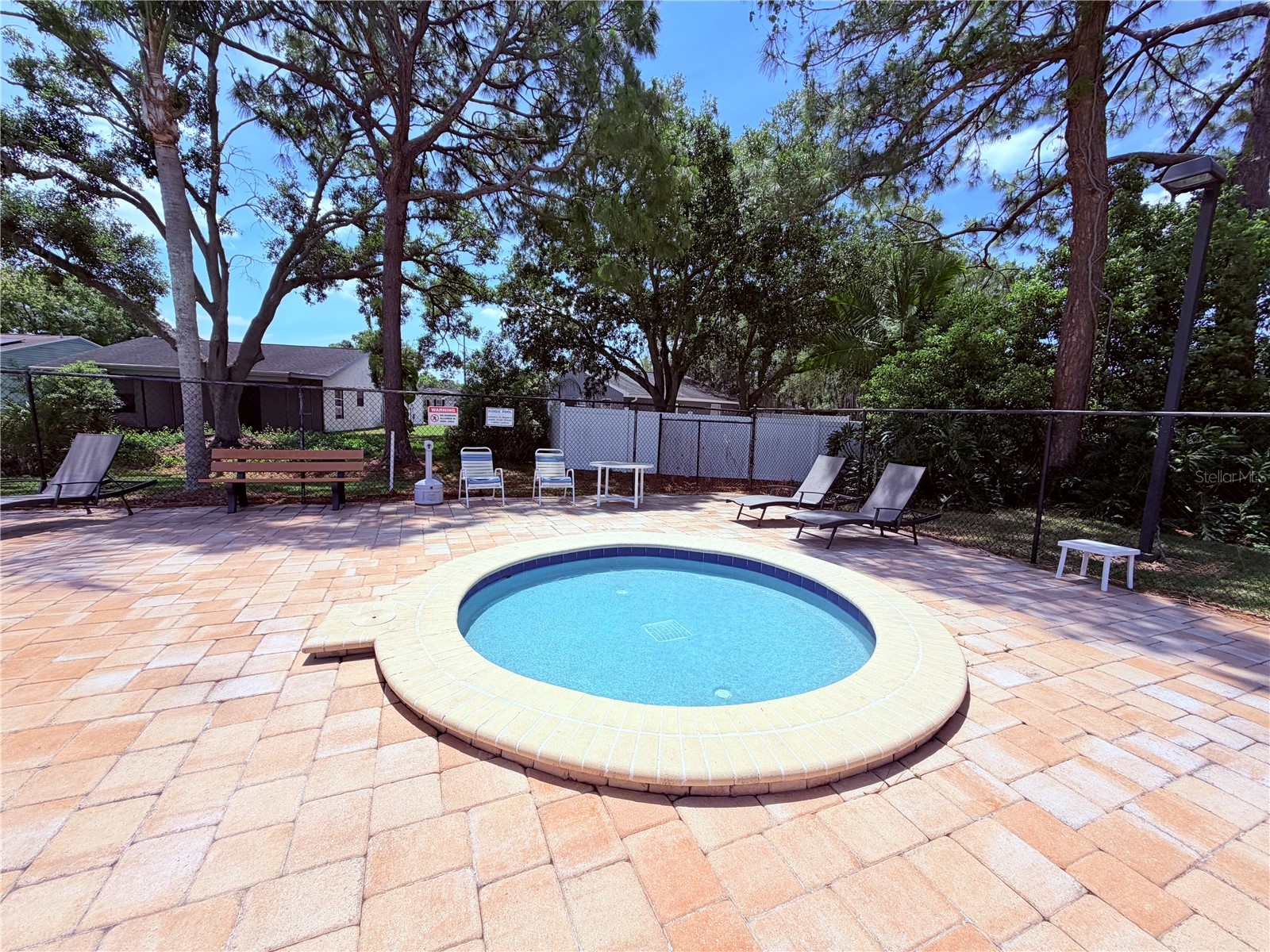 129 Camphor Circle #F Oldsmar FL 34677 TB8500263 image42