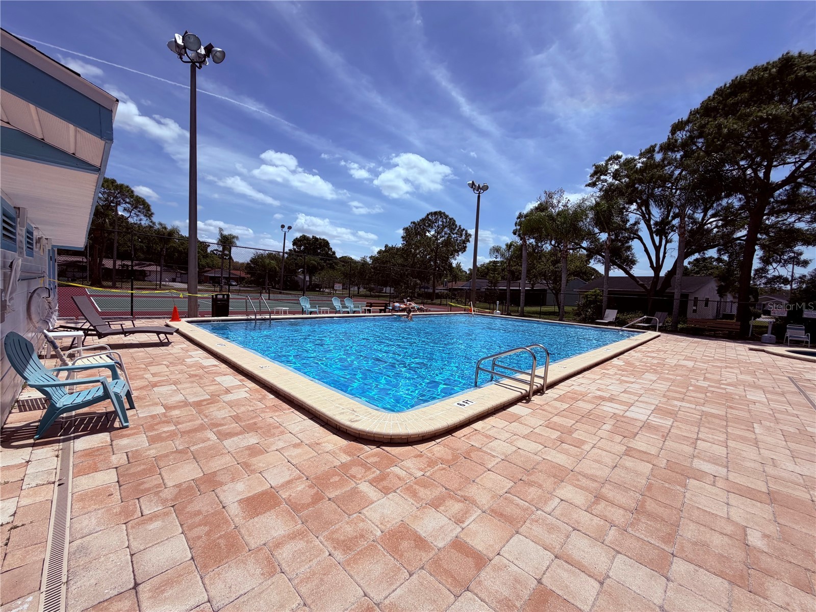 129 Camphor Circle #F Oldsmar FL 34677 TB8500263 image43
