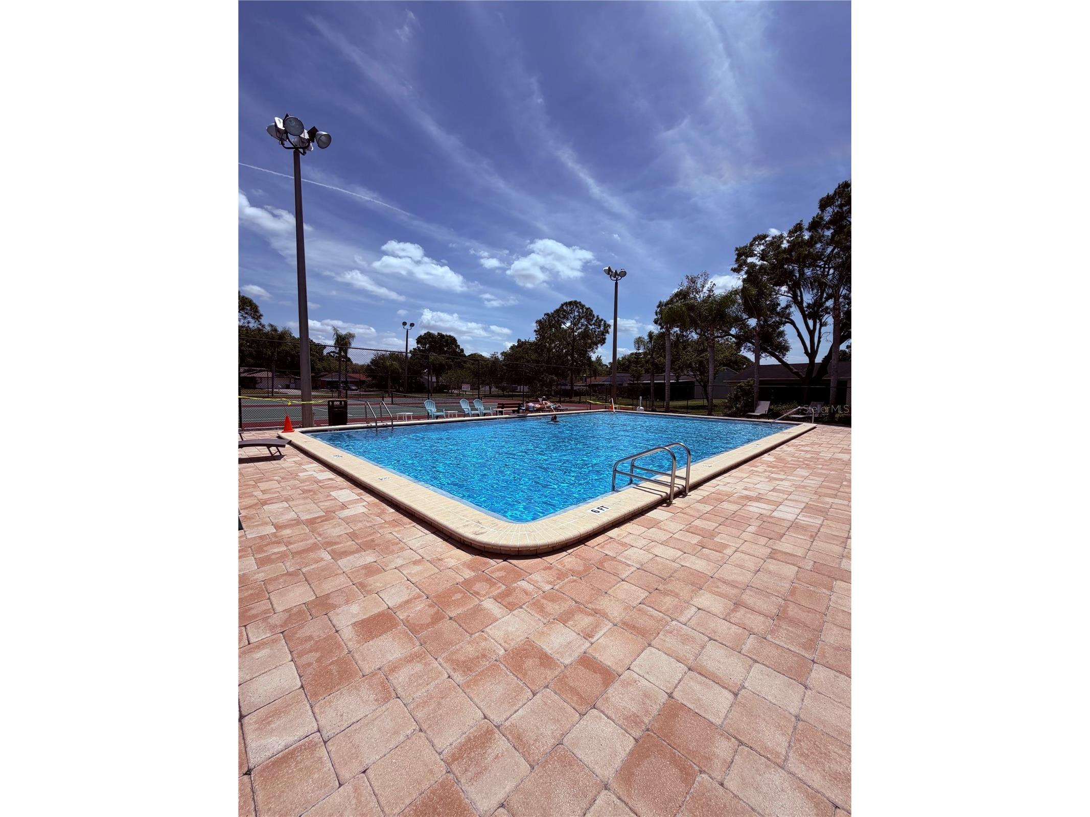 129 Camphor Circle #F Oldsmar FL 34677 TB8500263 image44