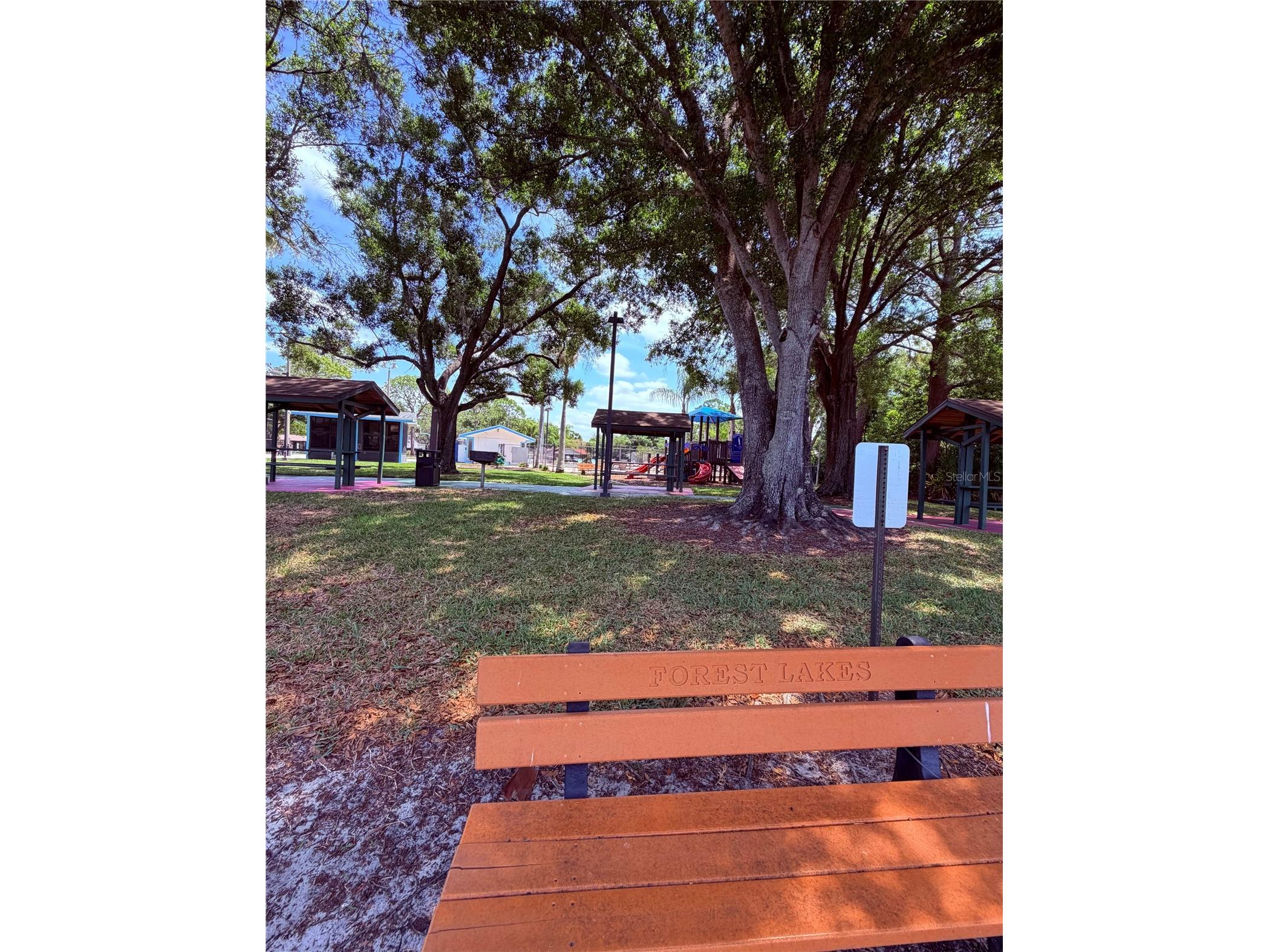 129 Camphor Circle #F Oldsmar FL 34677 TB8500263 image45
