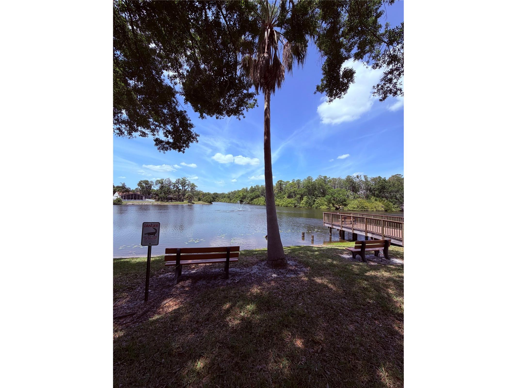 129 Camphor Circle #F Oldsmar FL 34677 TB8500263 image46