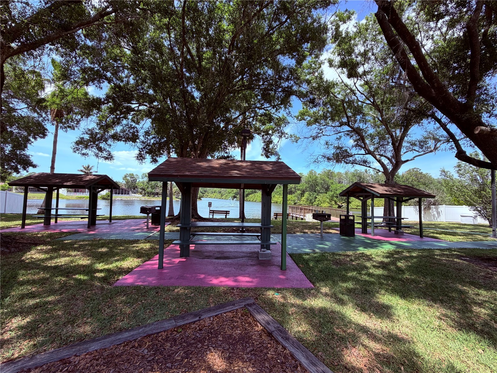 129 Camphor Circle #F Oldsmar FL 34677 TB8500263 image47