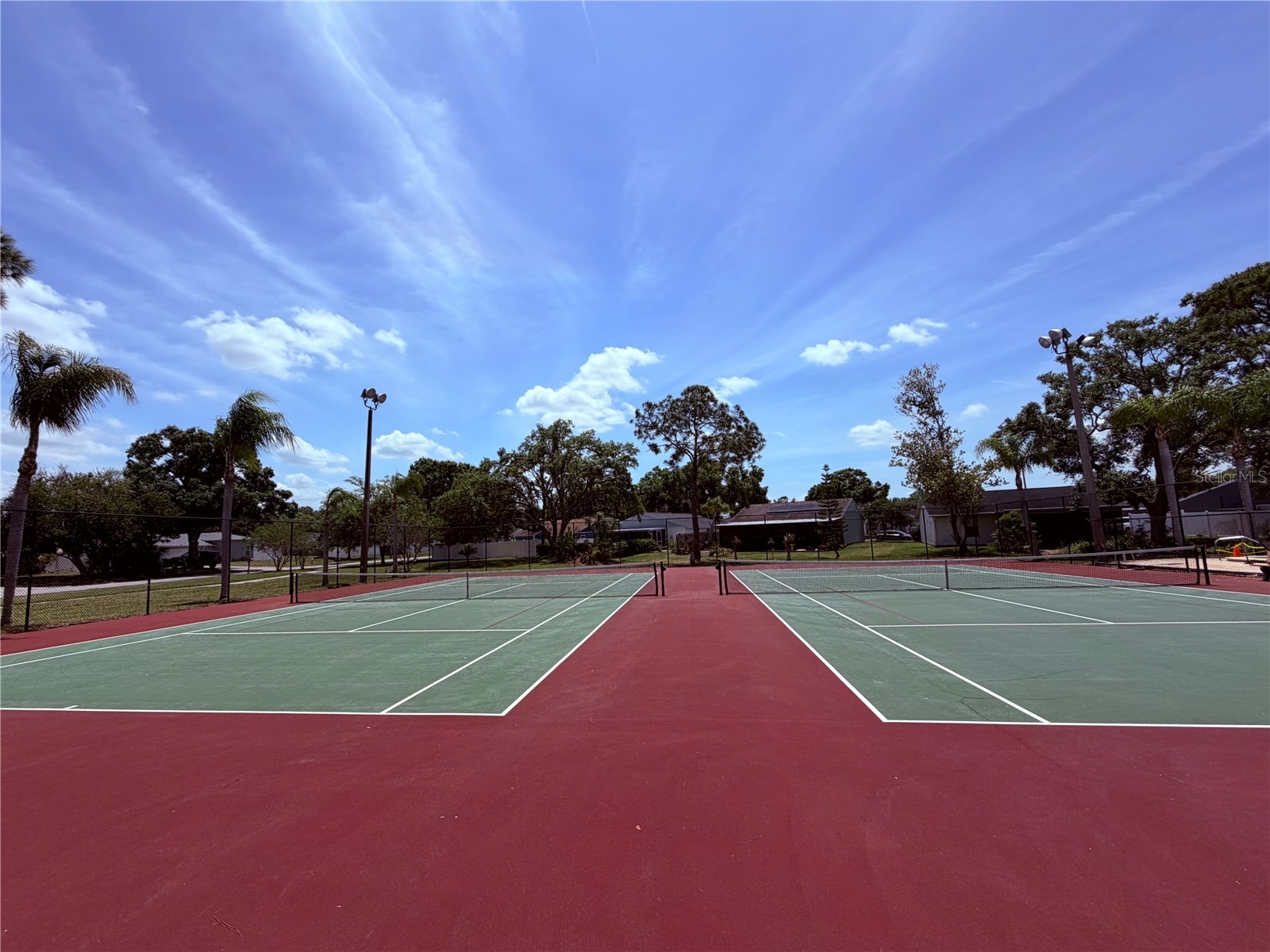 129 Camphor Circle #F Oldsmar FL 34677 TB8500263 image48