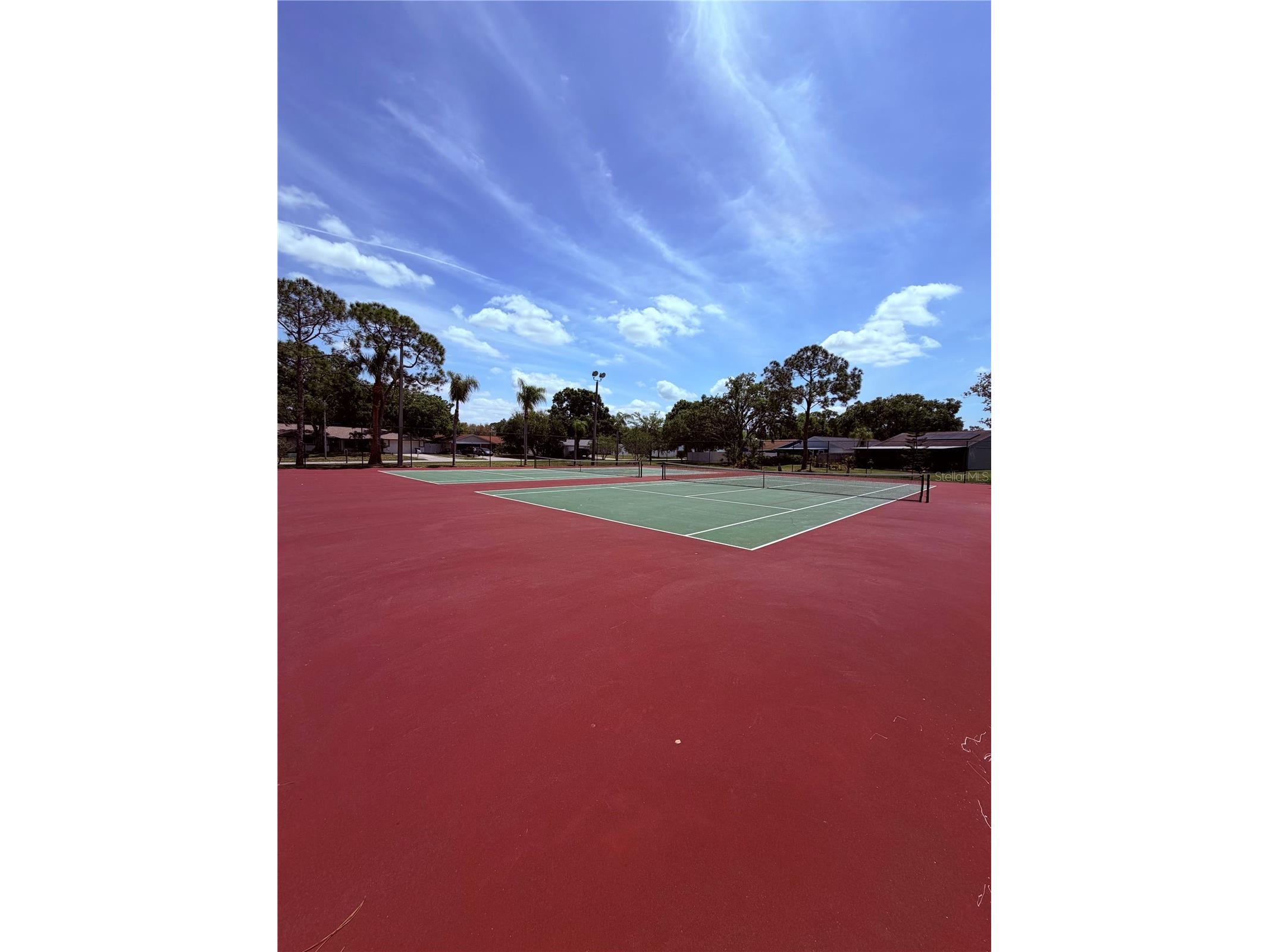 129 Camphor Circle #F Oldsmar FL 34677 TB8500263 image49