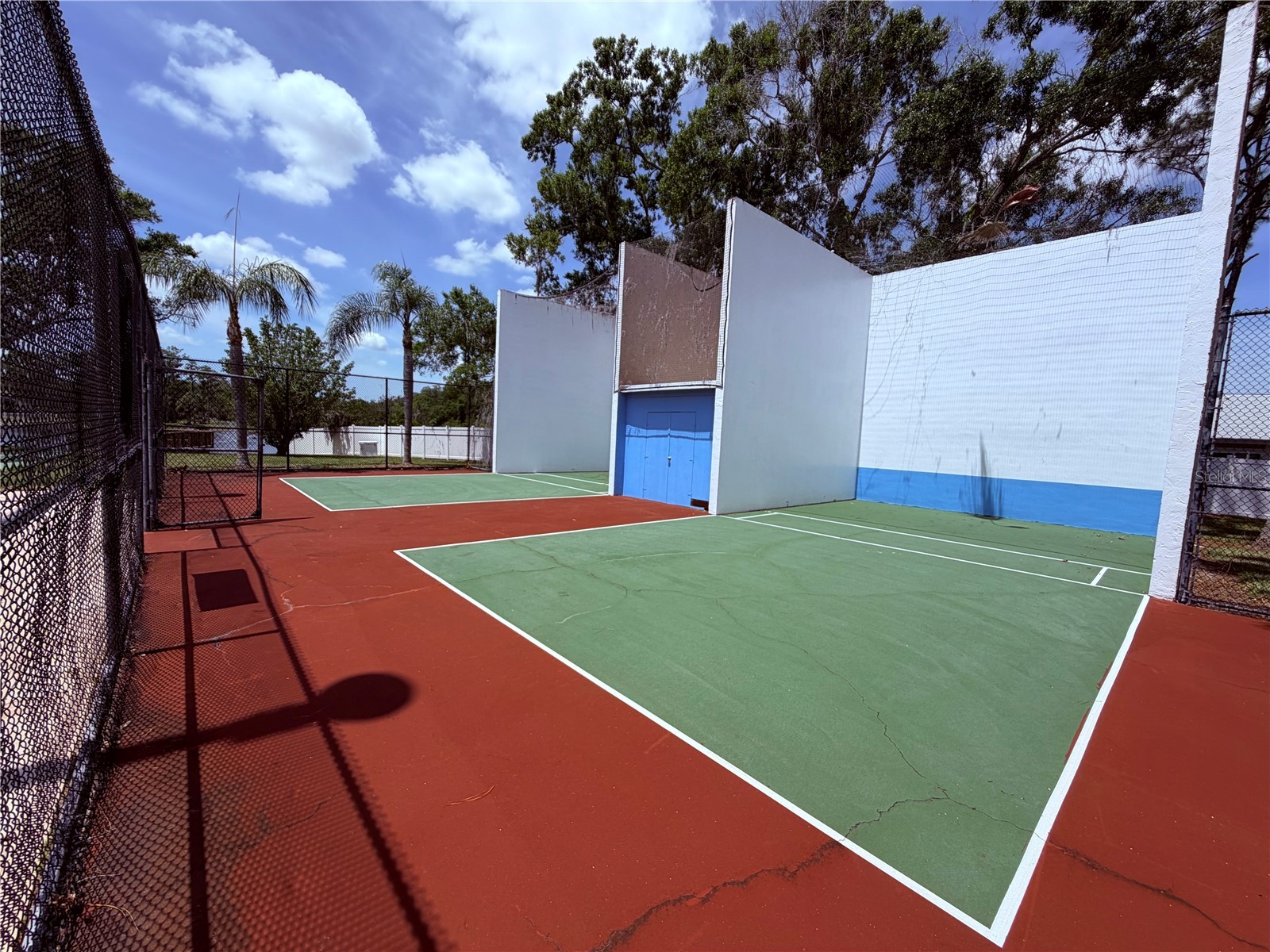 129 Camphor Circle #F Oldsmar FL 34677 TB8500263 image50