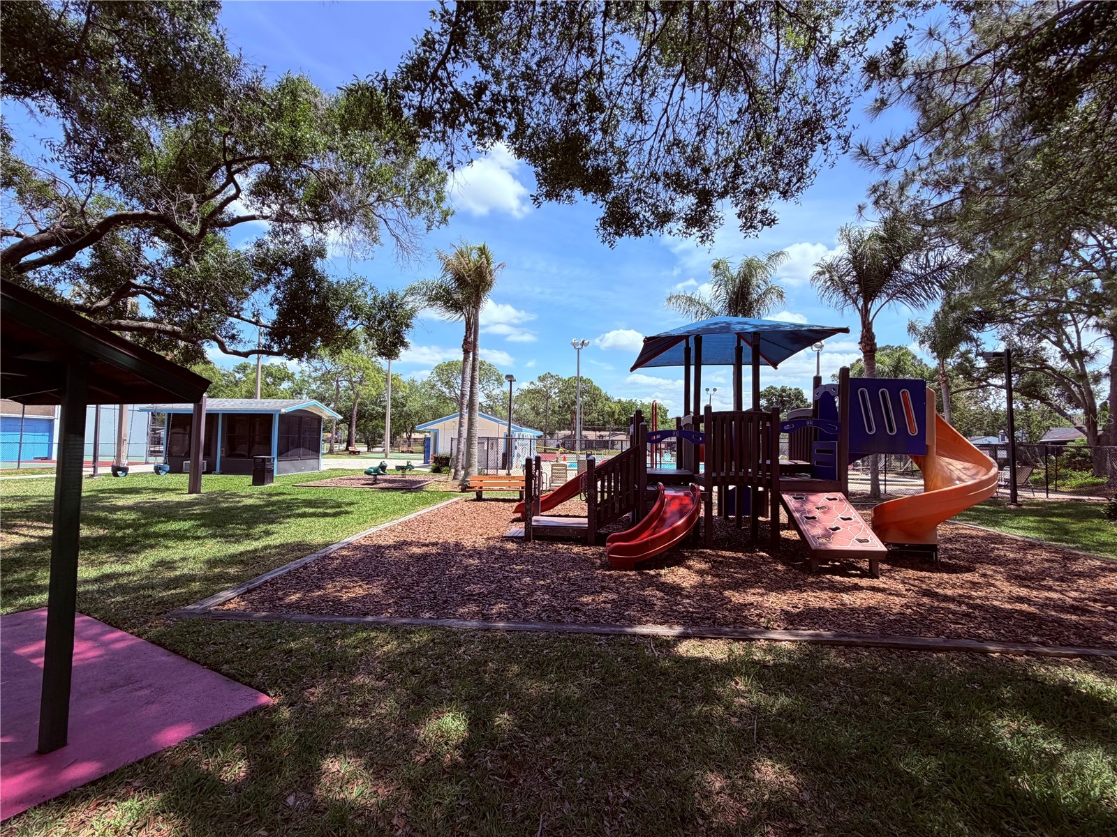 129 Camphor Circle #F Oldsmar FL 34677 TB8500263 image51