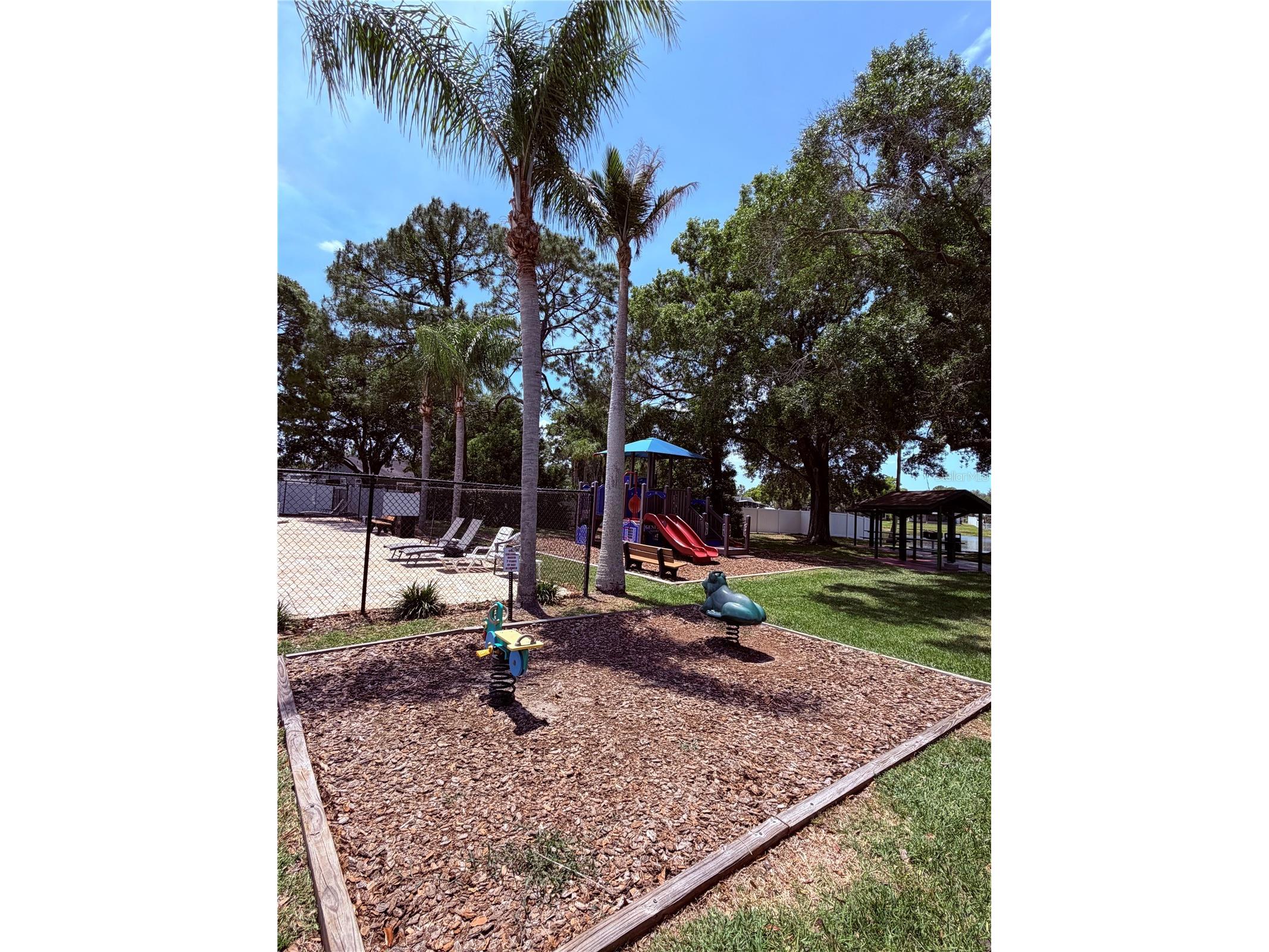 129 Camphor Circle #F Oldsmar FL 34677 TB8500263 image52