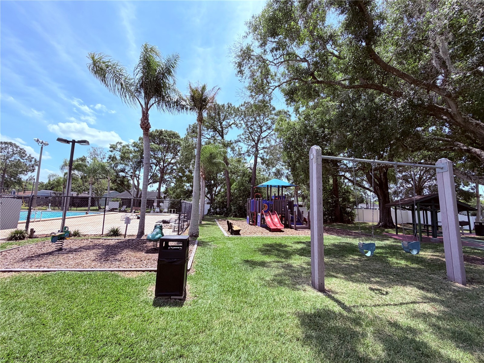 129 Camphor Circle #F Oldsmar FL 34677 TB8500263 image53