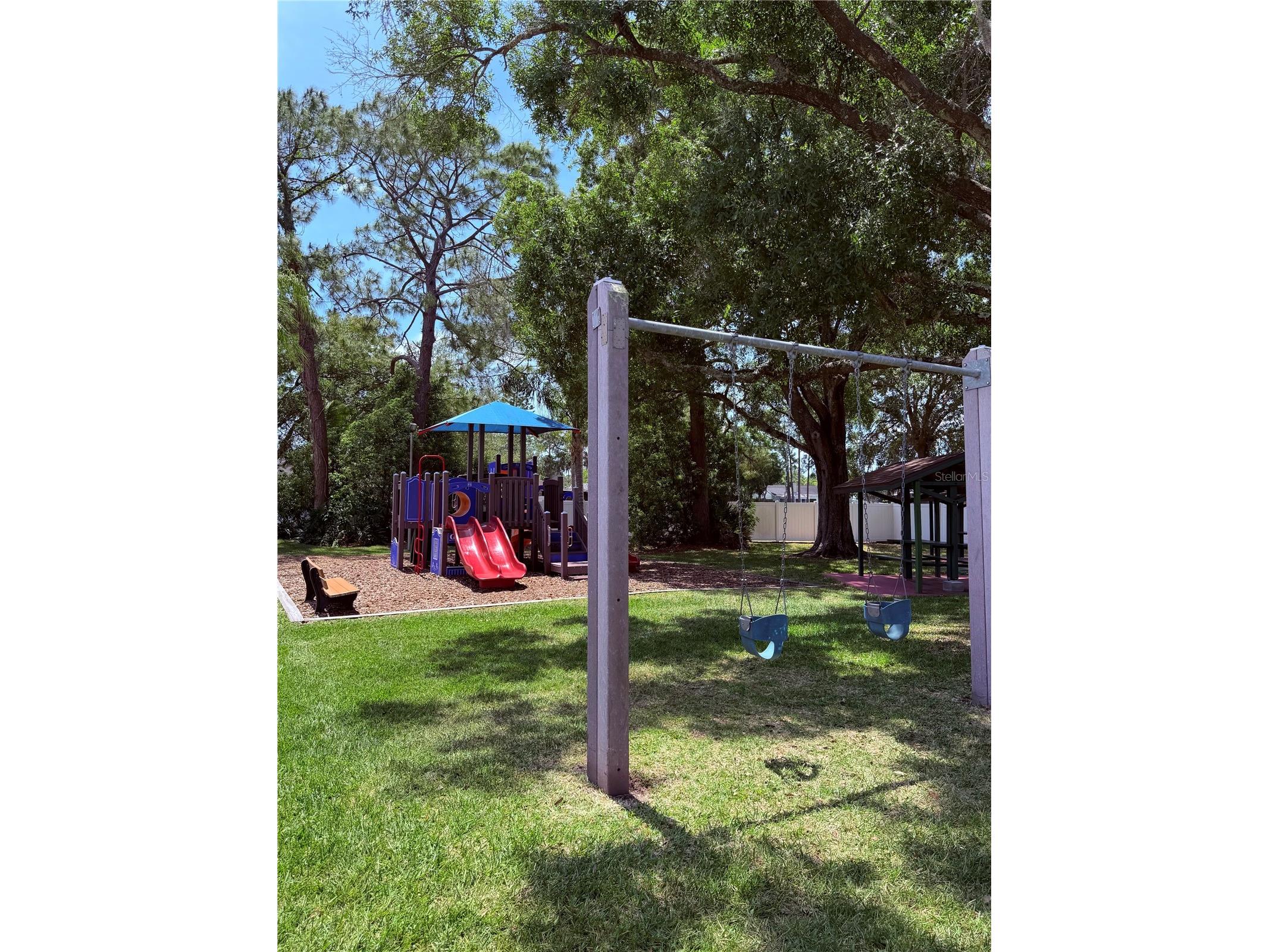129 Camphor Circle #F Oldsmar FL 34677 TB8500263 image54
