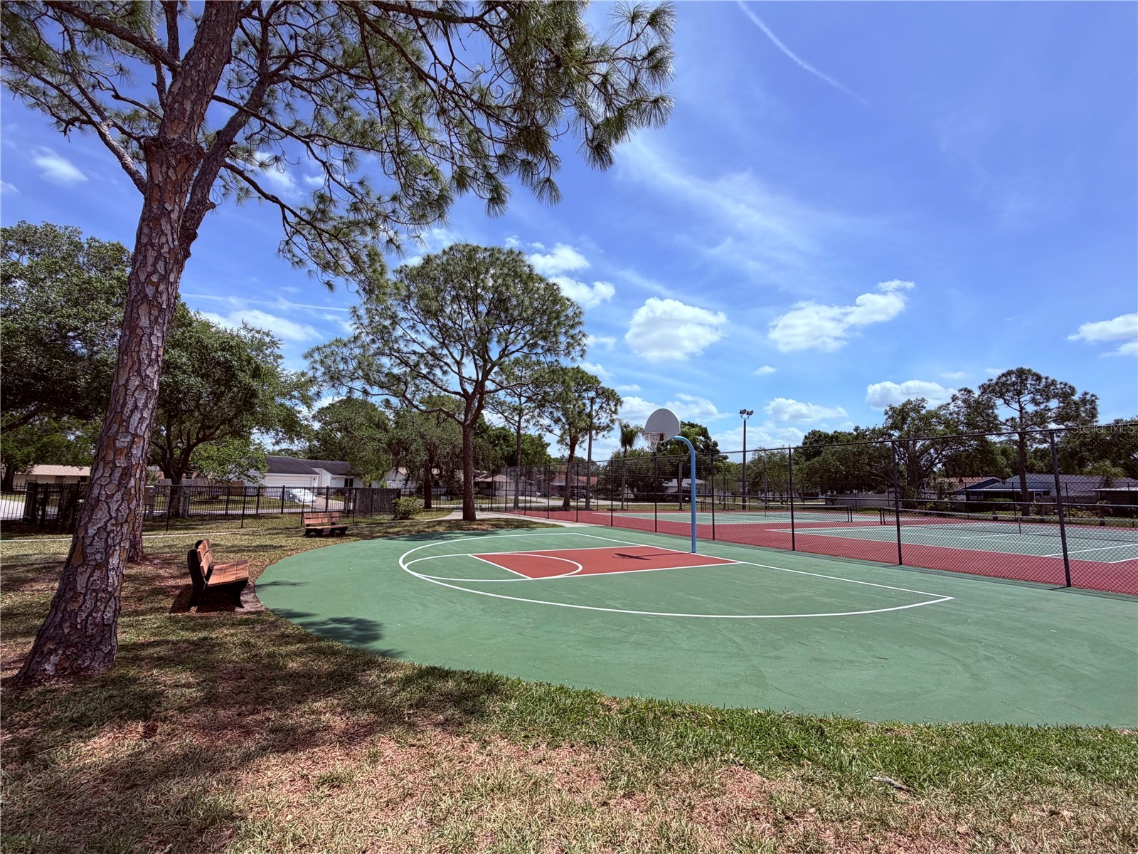 129 Camphor Circle #F Oldsmar FL 34677 TB8500263 image55