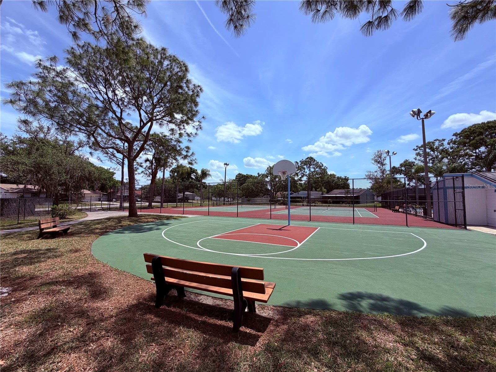 129 Camphor Circle #F Oldsmar FL 34677 TB8500263 image56