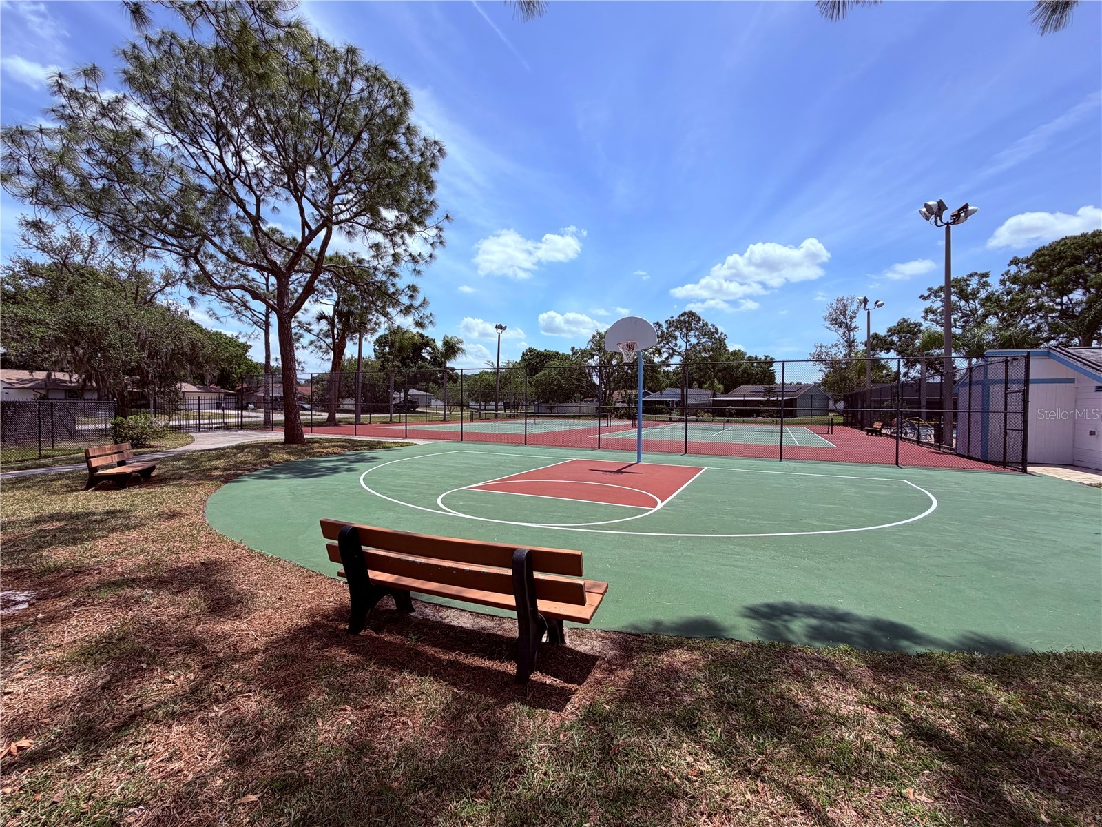 129 Camphor Circle #F Oldsmar FL 34677 TB8500263 image57