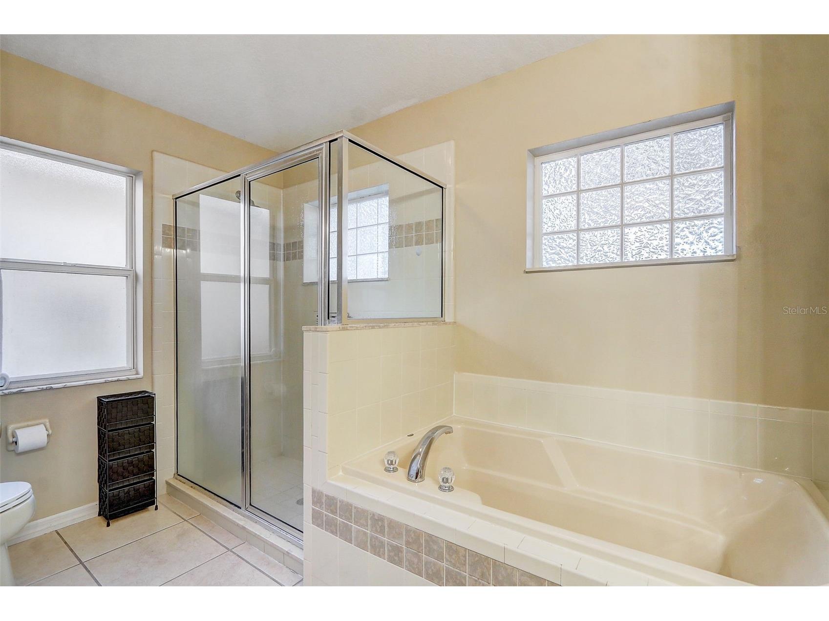 129 Compass Rose Dr Brook Groveland FL 34736 O6410917 image25