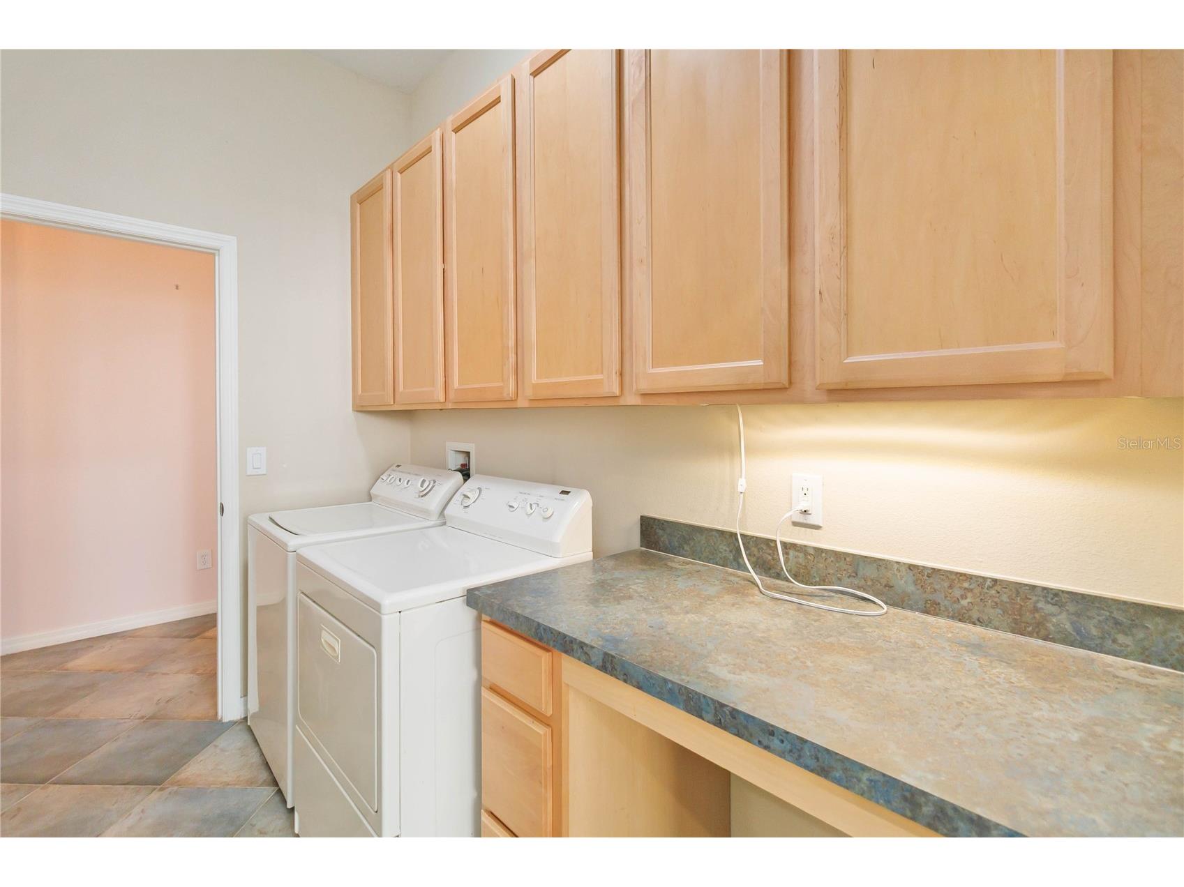129 Crepe Myrtle Drive Groveland FL 34736 O6380289 image21