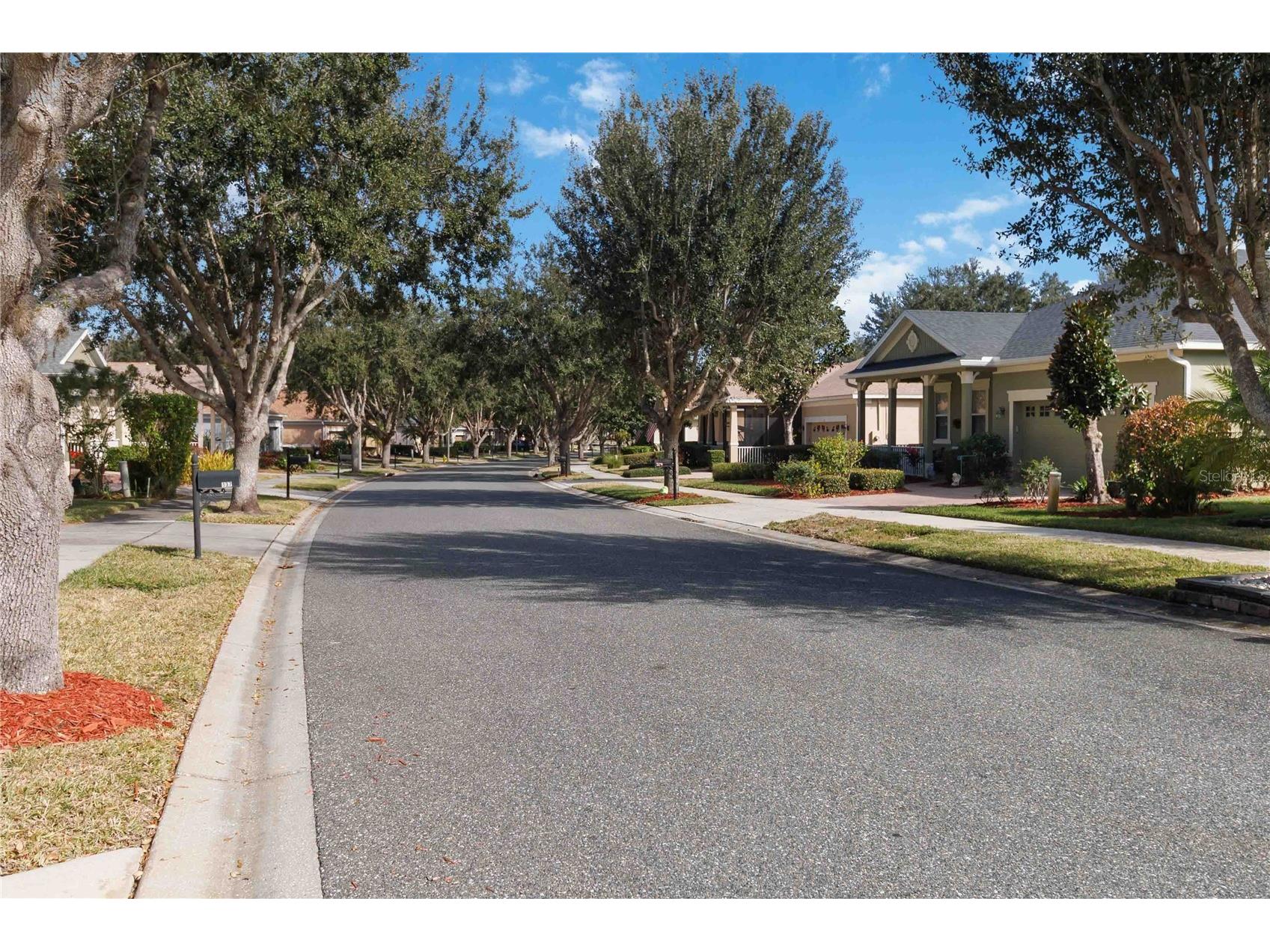 129 Crepe Myrtle Drive Groveland FL 34736 O6380289 image39