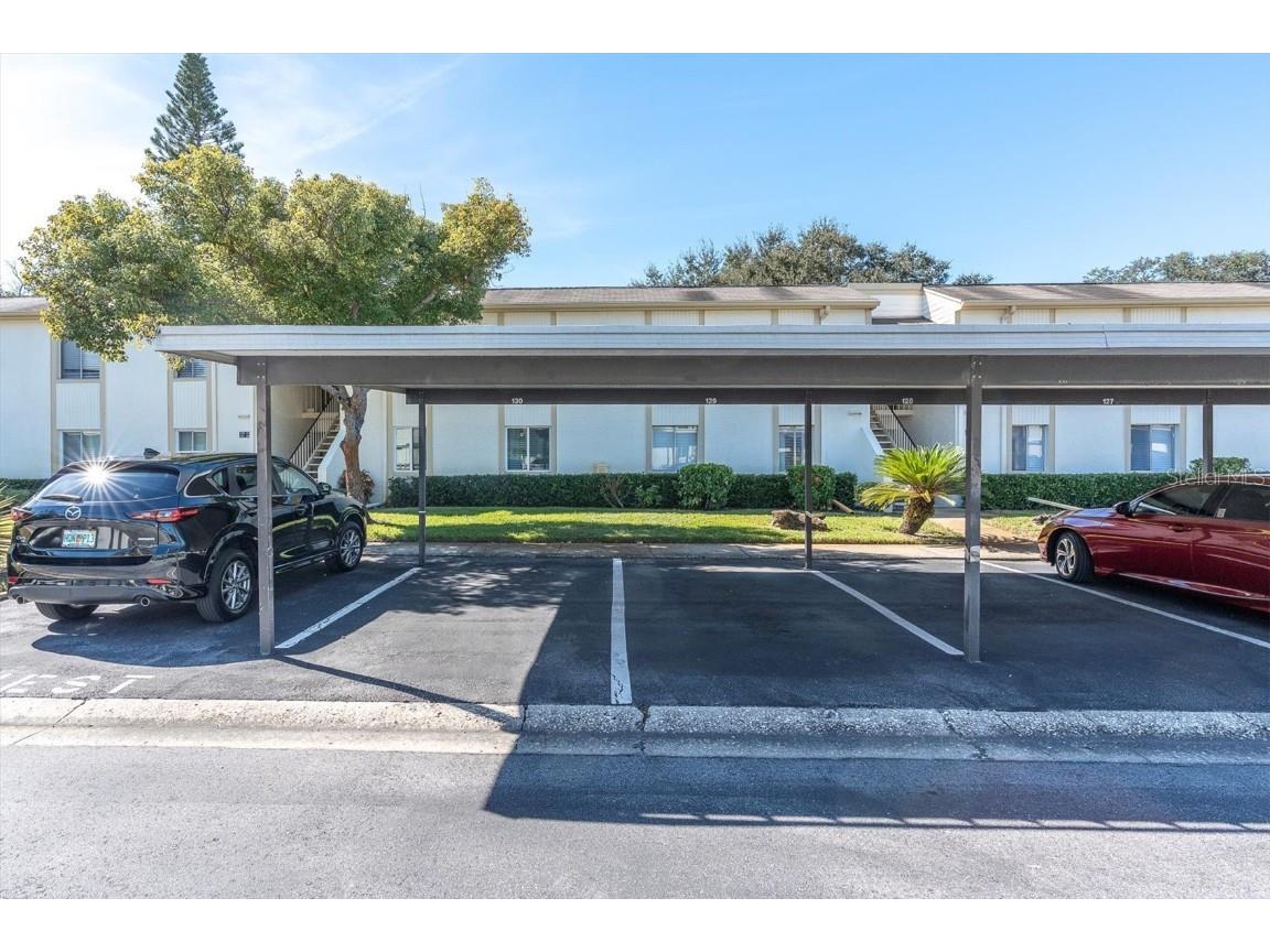 129 Cypress Court #129 Oldsmar FL 34677 TB8447168 image25