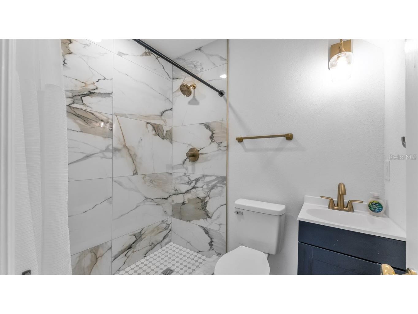 129 E Belmar Street Lakeland FL 33803 TB8443818 image55