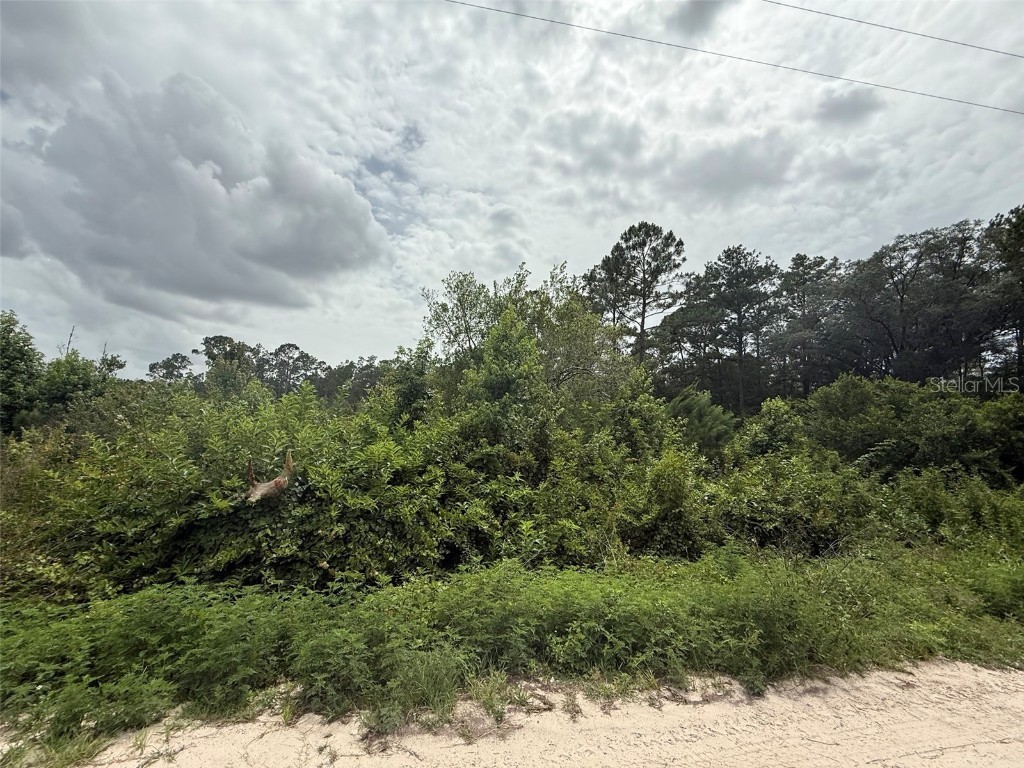 129 Fishermans Drive Interlachen FL 32148 OK225118 image1