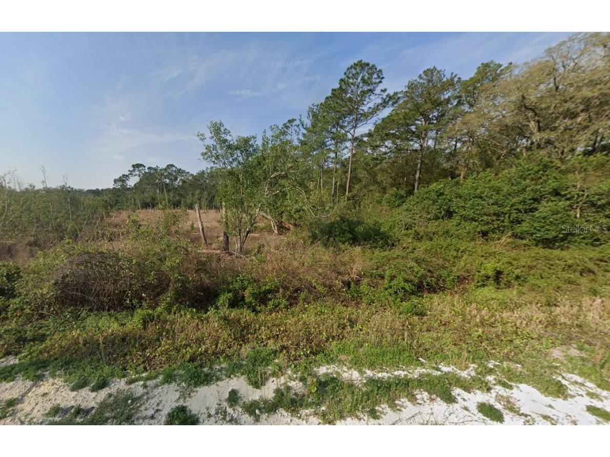 129 Fishermans Drive Interlachen FL 32148 OK225118 image2