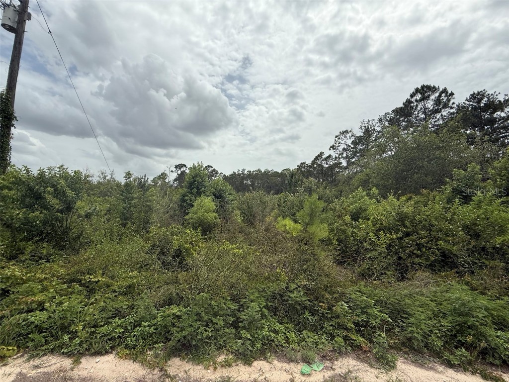 129 Fishermans Drive Interlachen FL 32148 OK225118 image8