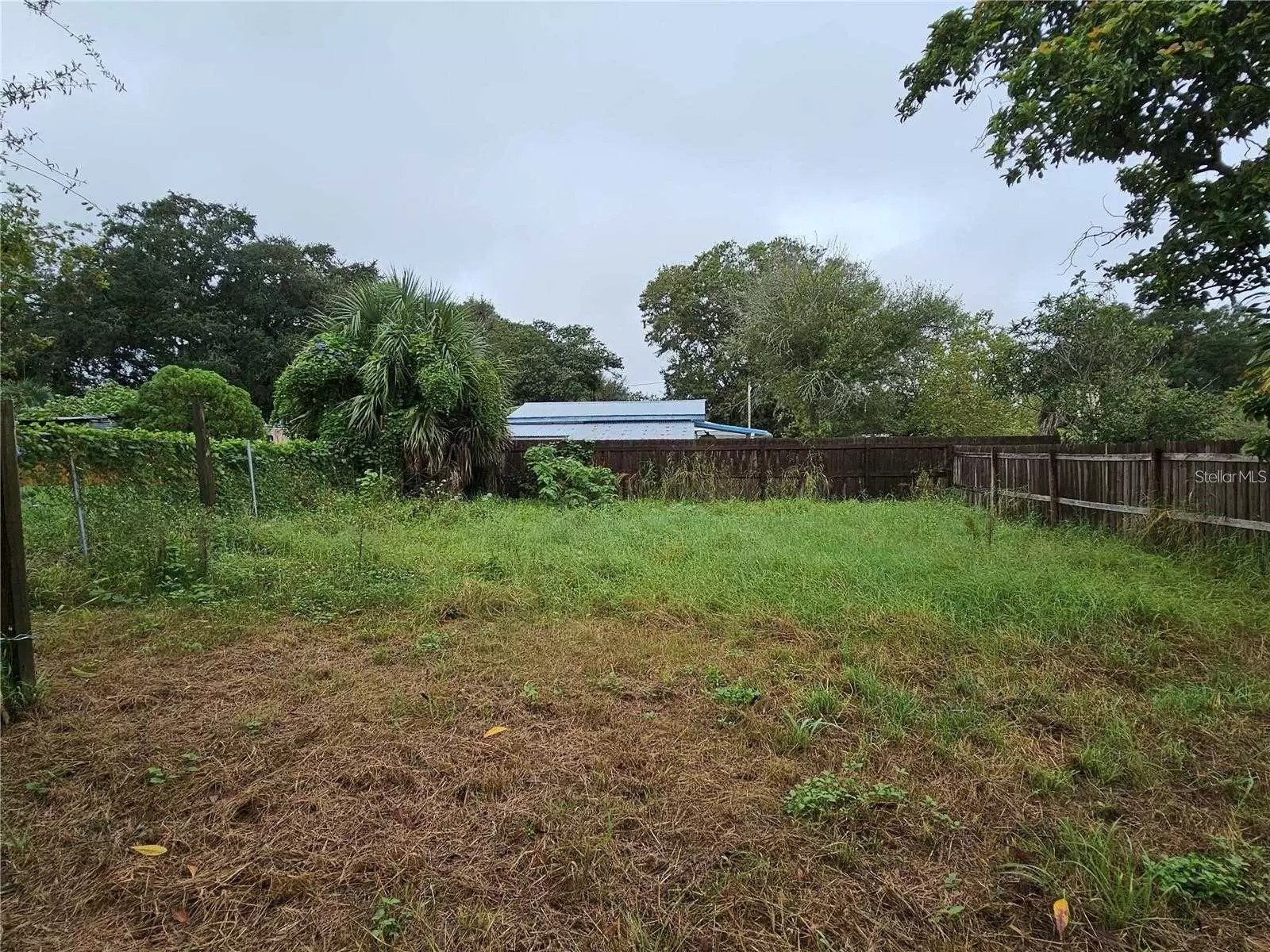 129 Florida Drive Winter Haven FL 33881 TB8523624 image25