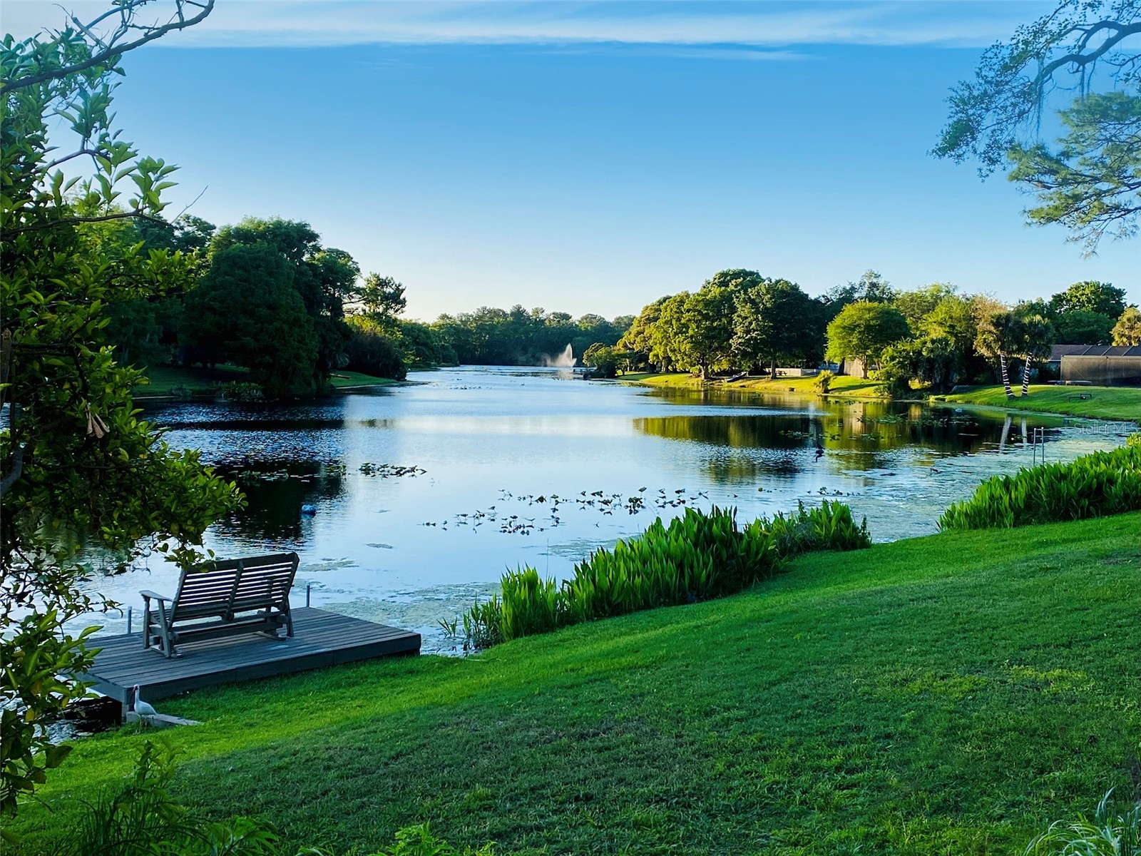 129 Laurel Oak Drive Longwood FL 32779 - COVE LAKE O6401346 image47