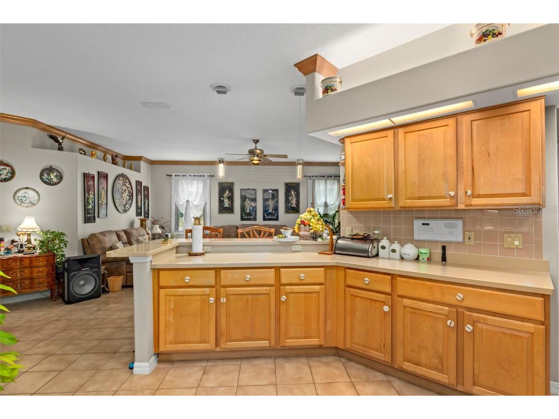 129 N Skyflower Point Lecanto FL 34461 W7881277 image15