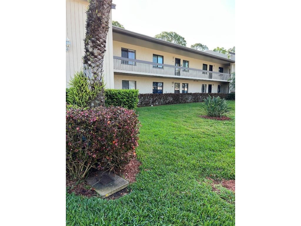129 Nina Way #129 Oldsmar FL 34677 U8192831 image1