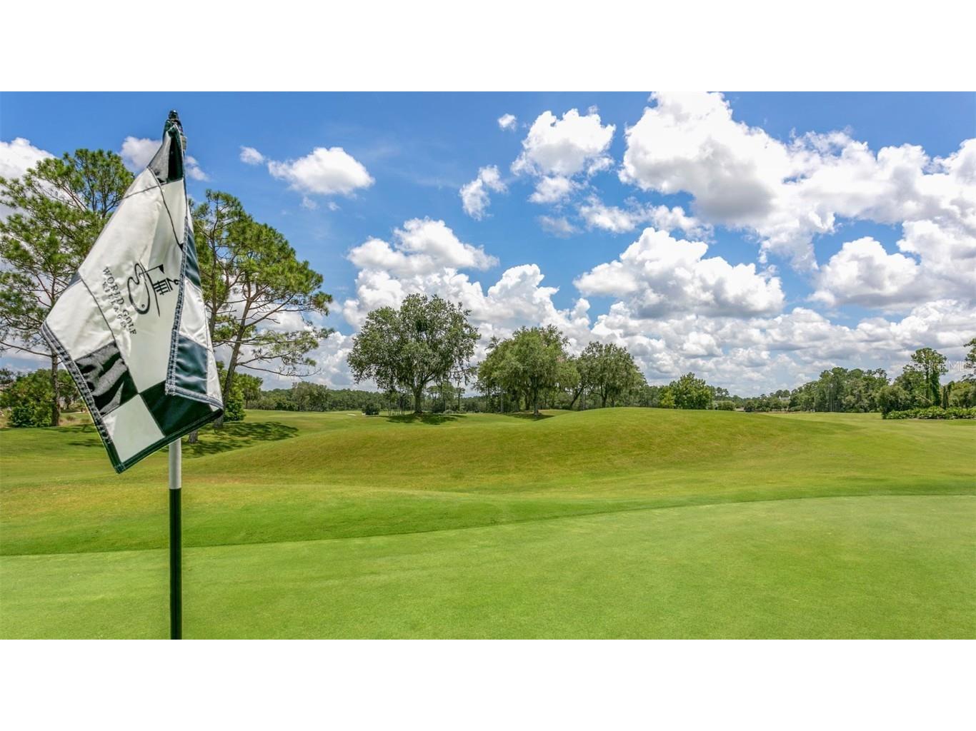 129 Palmetto Ridge Road Saint Augustine FL 32095 FC312569 image38