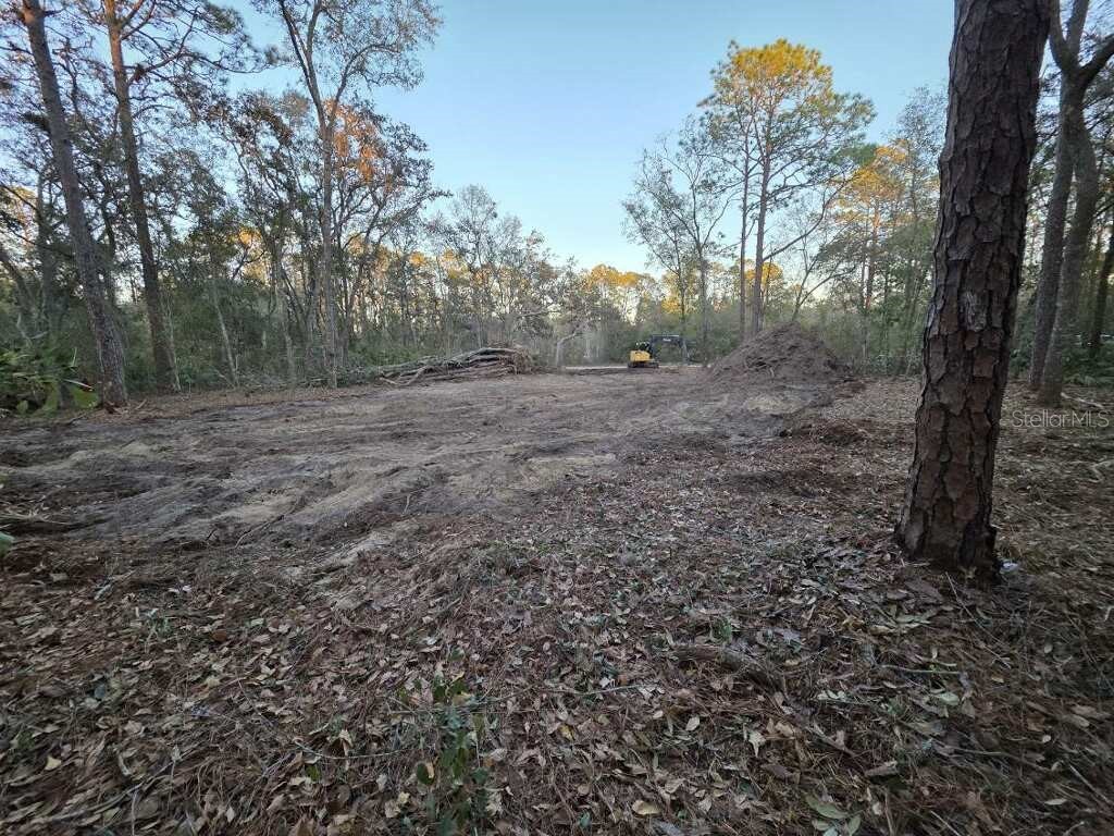 129 Seminole Avenue Interlachen FL 32148 TB8486945 image1