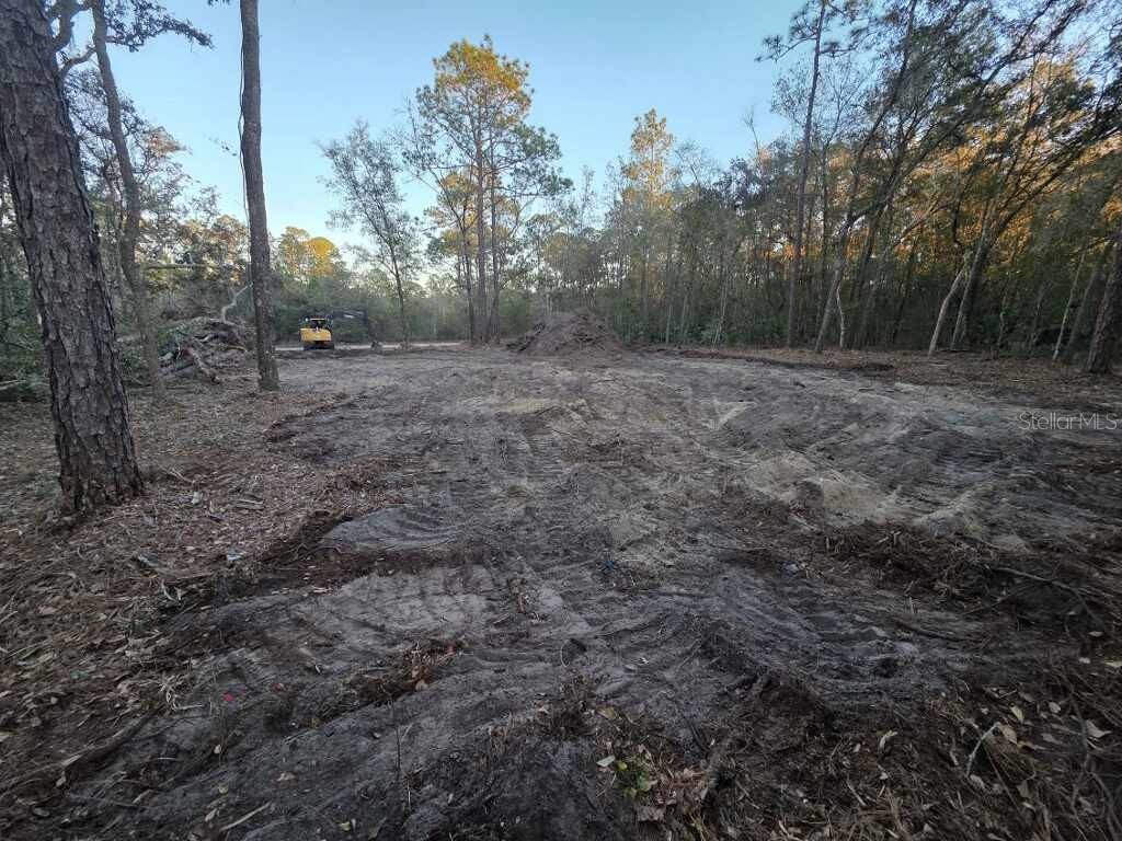129 Seminole Avenue Interlachen FL 32148 TB8486945 image3
