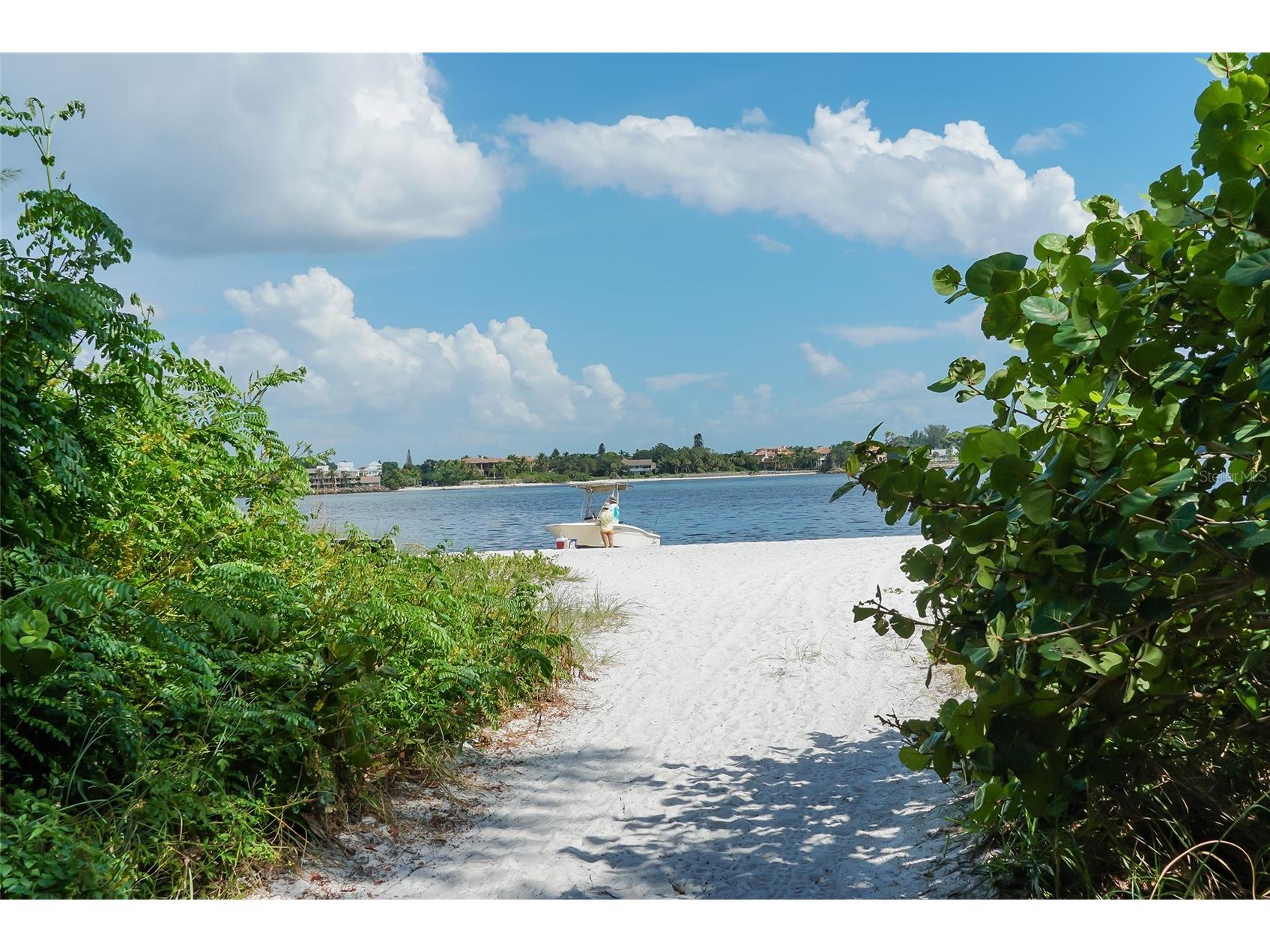 129 Taft Drive #W102 Sarasota FL 34236 A4684418 image44