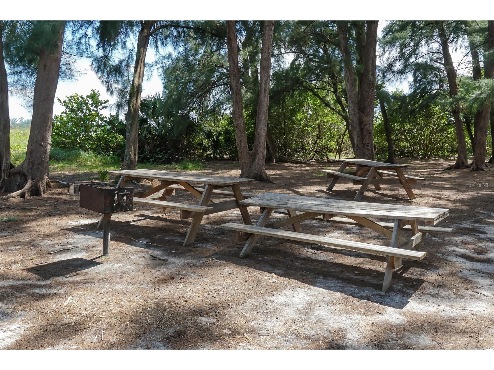 129 Taft Drive #W102 Sarasota FL 34236 A4684418 image46