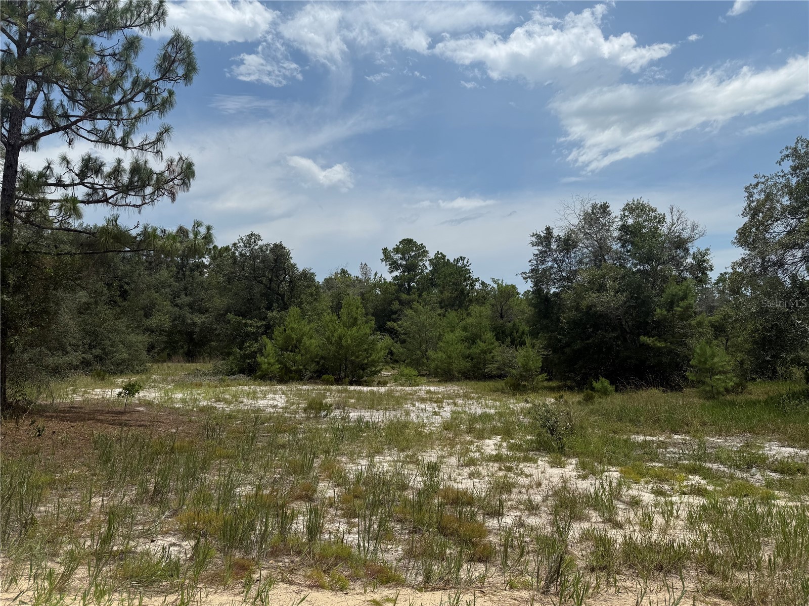 129 Viola Drive Hawthorne FL 32640 GC535593 image1