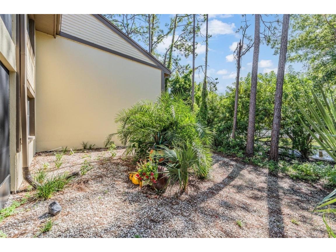 129 Woodlake Wynde #129 Oldsmar FL 34677 TB8426049 image17