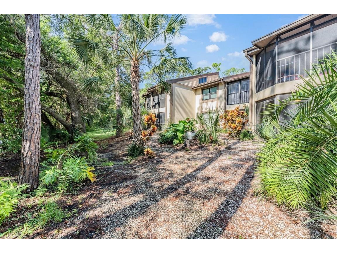 129 Woodlake Wynde #129 Oldsmar FL 34677 TB8426049 image22