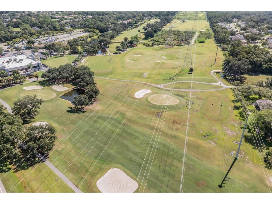 129 Woodlake Wynde #129 Oldsmar FL 34677 TB8426049 image30