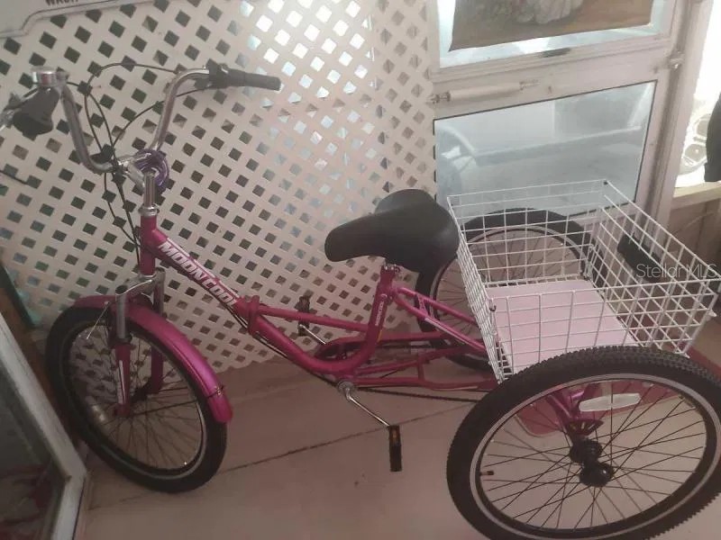 129 Woods-N-Water Drive Mount Dora FL 32757 - LAKE SAUNDERS TB8451531 image15