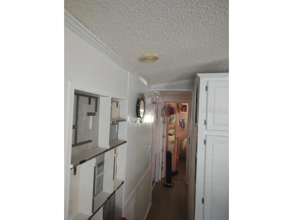 129 Woods-N-Water Drive Mount Dora FL 32757 - LAKE SAUNDERS TB8451531 image19