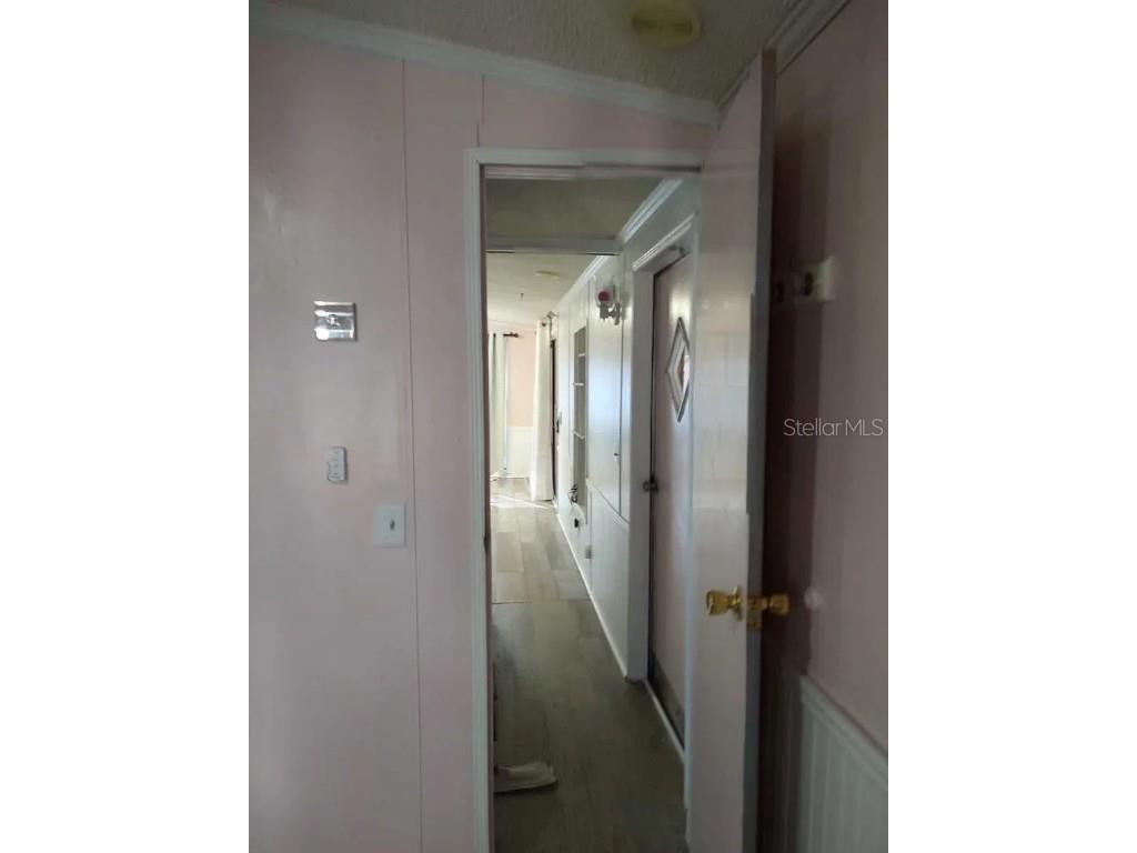 129 Woods-N-Water Drive Mount Dora FL 32757 - LAKE SAUNDERS TB8451531 image30