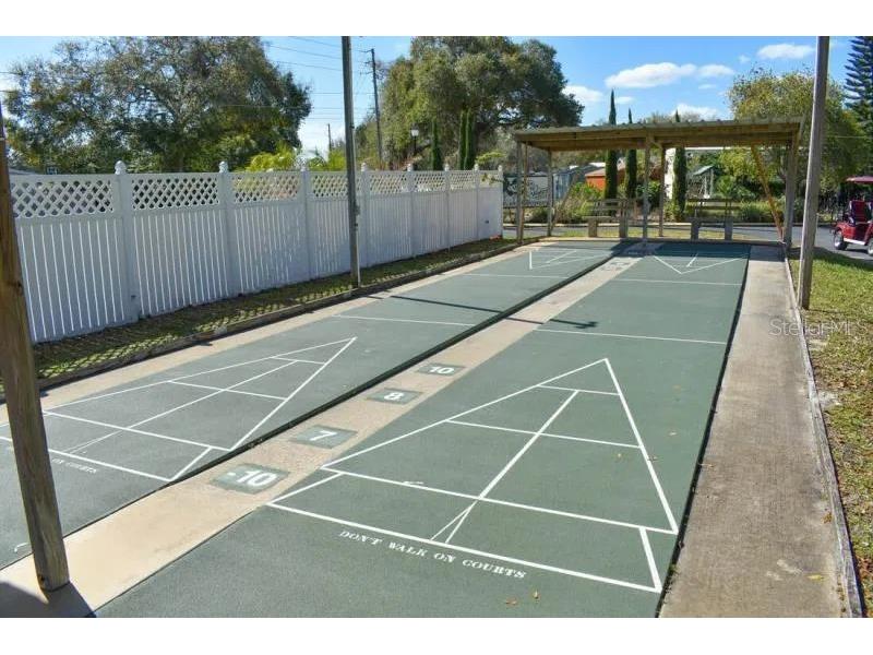 129 Woods-N-Water Drive Mount Dora FL 32757 - LAKE SAUNDERS TB8451531 image33