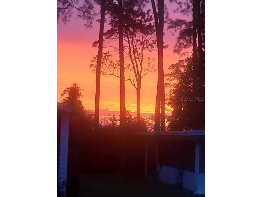 129 Woods-N-Water Drive Mount Dora FL 32757 - LAKE SAUNDERS TB8451531 image36