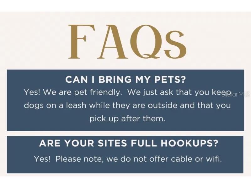 129 Woods-N-Water Drive Mount Dora FL 32757 - LAKE SAUNDERS TB8451531 image42