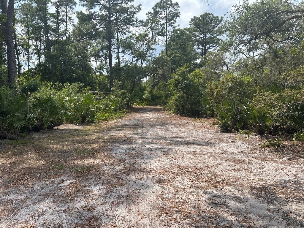 1290 10th Avenue Deland FL 32724 V4942223 image1