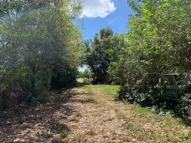 1290 Cinder Lane Kissimmee FL 34744 S5093500 image10