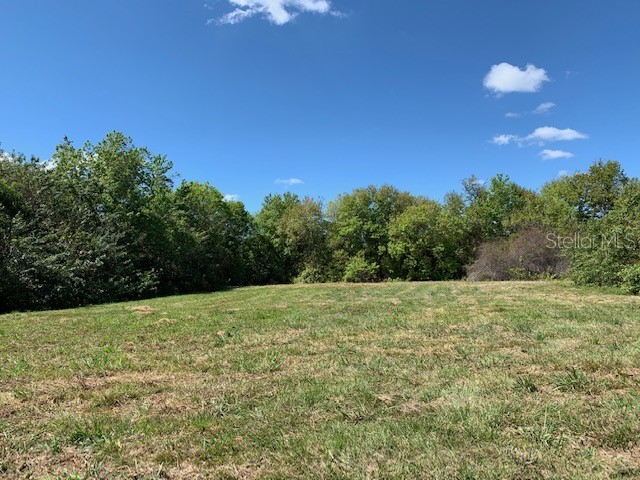 1290 Cinder Lane Kissimmee FL 34744 S5093500 image19